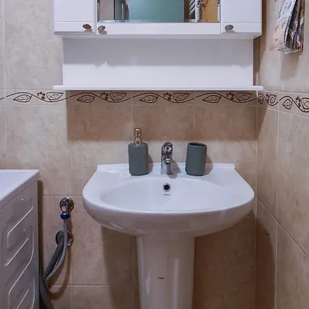 Dina Cozy 公寓 Zemun